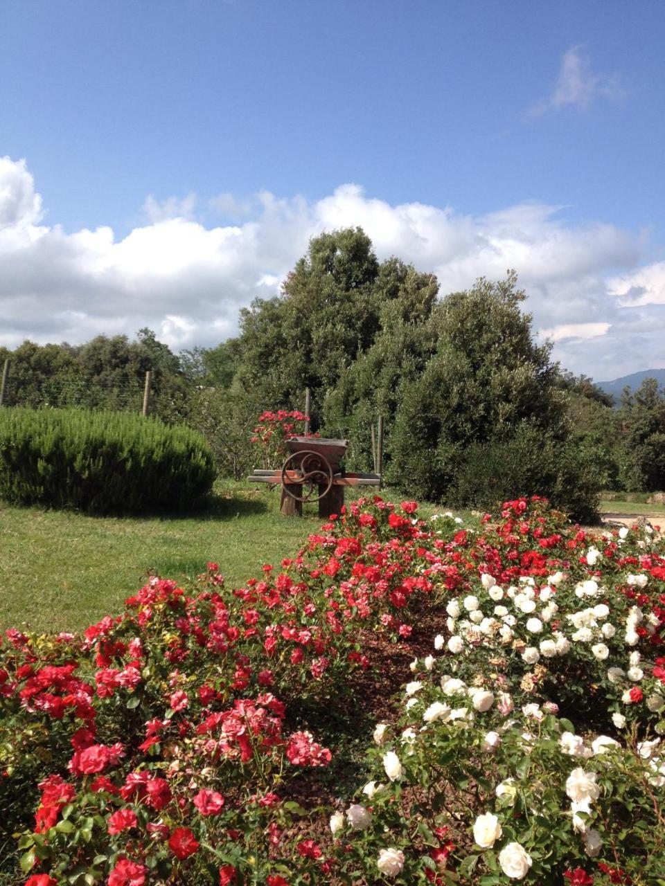 Donzellino Villa Massa Marittima Exterior photo